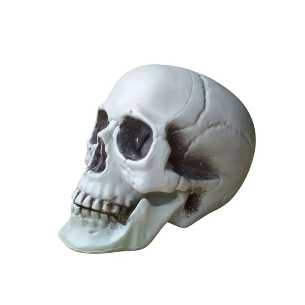 Spectre Plastic Halloween Skull Haunted House Prop